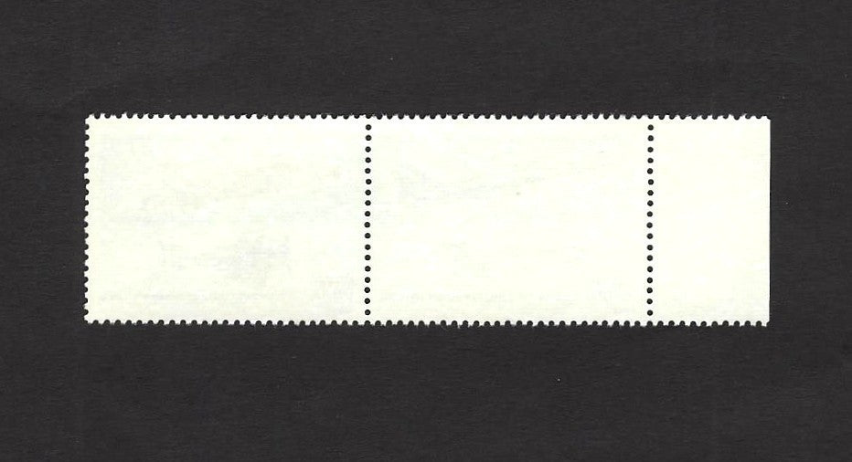 India 1992 India Air Force Jubilee se-tenant pair MNH