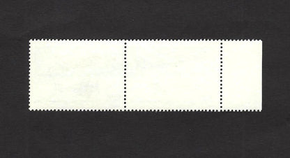 India 1992 India Air Force Jubilee se-tenant pair MNH