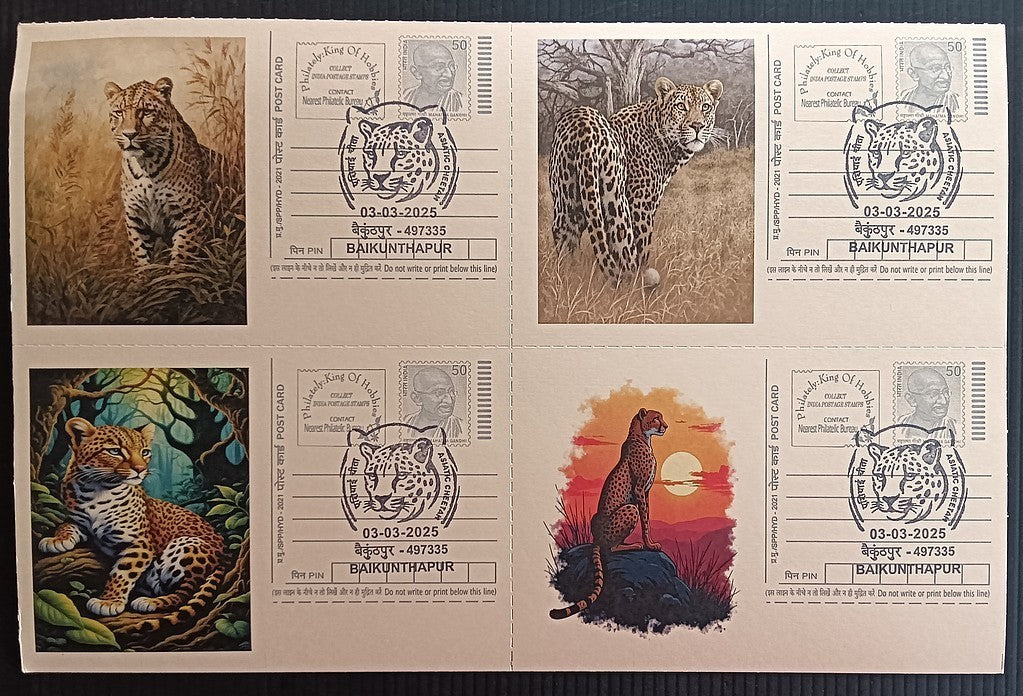 India Asiatic Cheetah group of 80 different special event postcards, Baikuntapur
