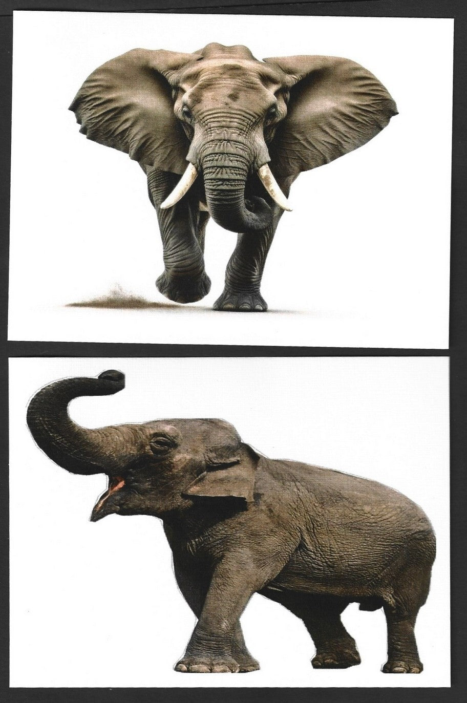 India 2023 LEMRU ELEPHANT RESERVE Special postcards (5)