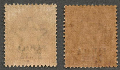 AOP India Patiala State KEdVII 1903-06 2a both listed shades MNH SG 39/39a (2)
