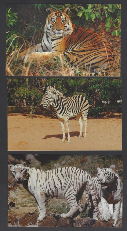 AOP India Mysore Zoo vintage postcards (10)
