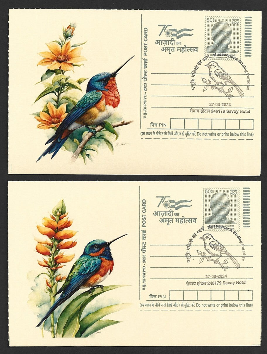 India 2024 Birding Paradise Savoy Hotel postmarks on cards HUMMING BIRDS (3)