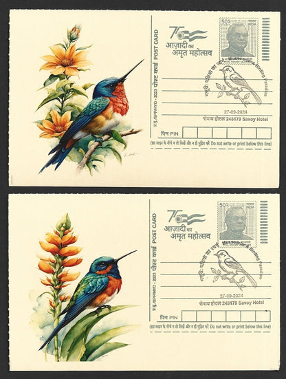 India 2024 Birding Paradise Savoy Hotel postmarks on cards HUMMING BIRDS (3)