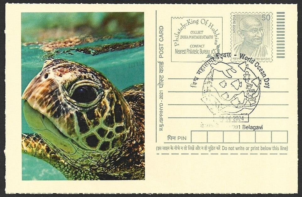 India 2024 World Ocean Day cards TORTOISE (9)