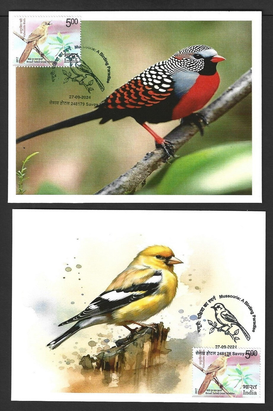 India 2024 BIRDS maximum cards (not first day) (7)