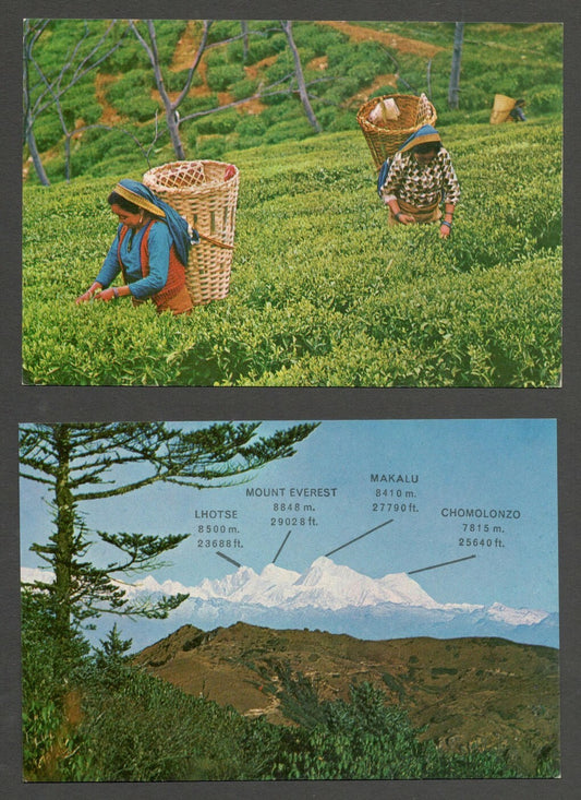 AOP India vintage postcards DARJEELING by Elar (10)