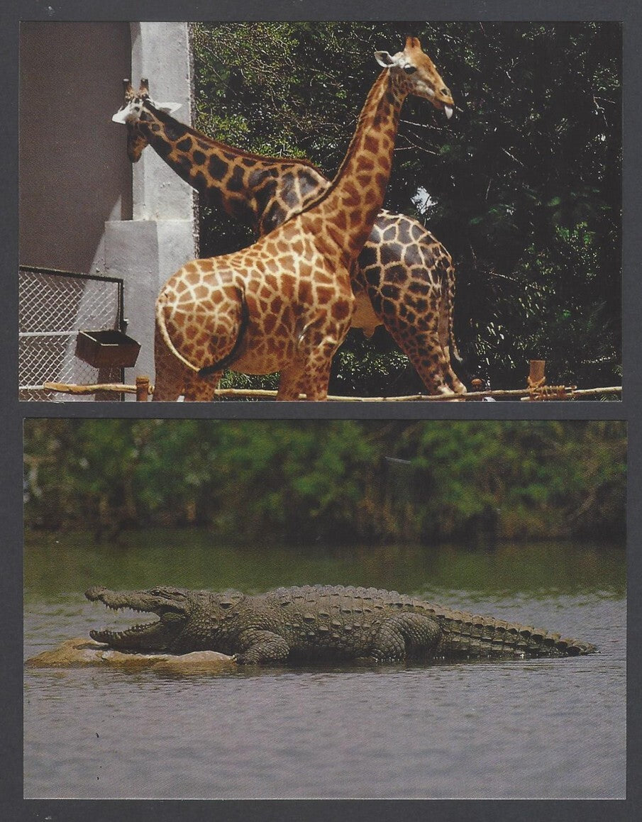 AOP India Mysore Zoo vintage postcards (10)
