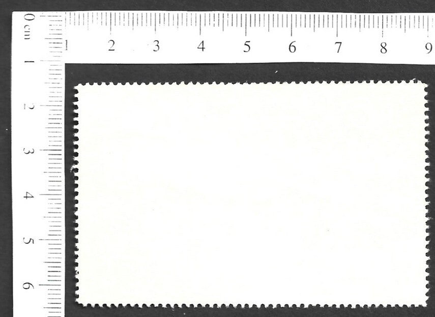 Vintage OVERLAND TO INDIA poster stamp - AMONG SAXAULS zaz