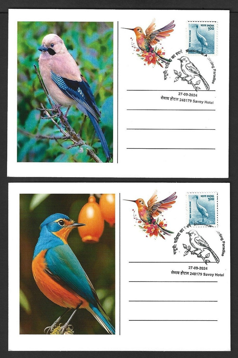 India 2024 BIRDS maximum cards (not first day) (8)