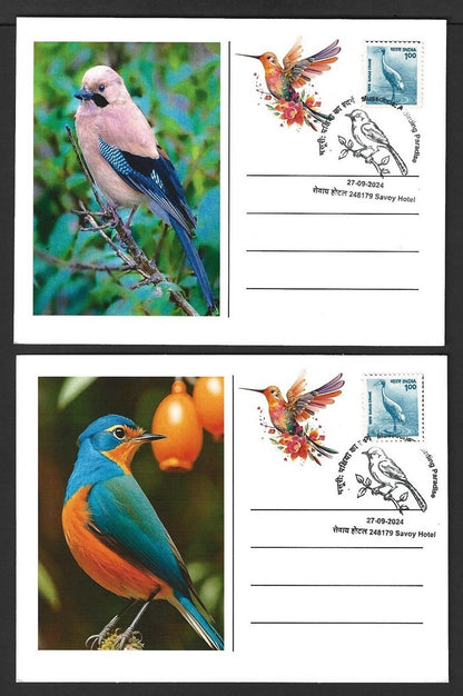 India 2024 BIRDS maximum cards (not first day) (8)