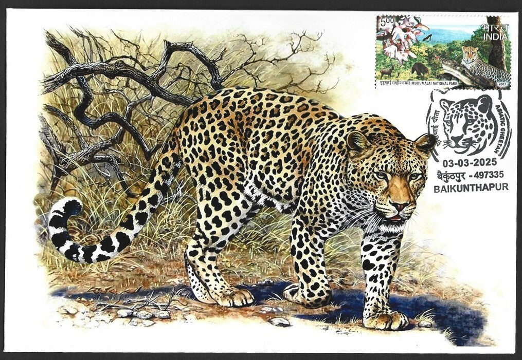India ASIATIC CHEETAH, Baikunhapur postmark on special covers (3)