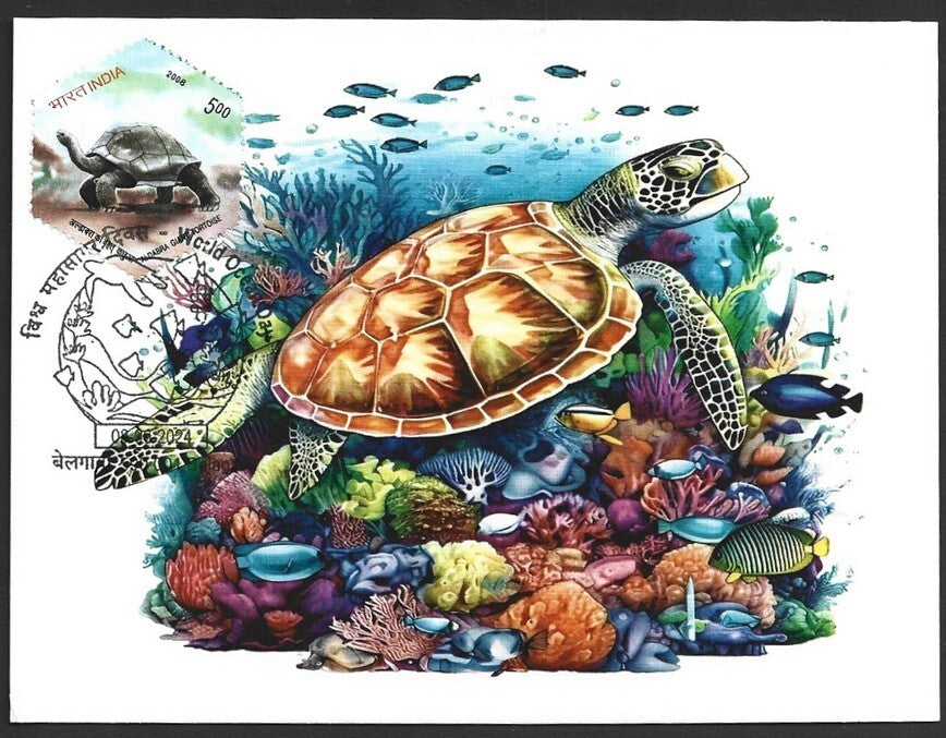 India 2024 World Ocean Day pictorial event postcards (7)