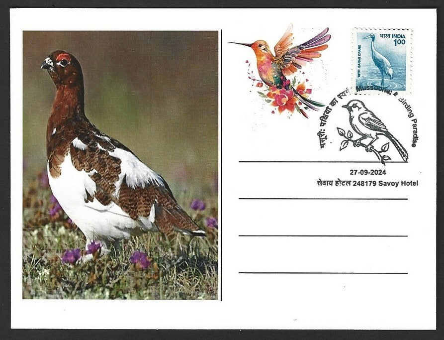 India 2024 BIRDS - AMERICAN AVOCET maximum card (not first day)