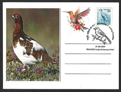 India 2024 BIRDS - AMERICAN AVOCET maximum card (not first day)
