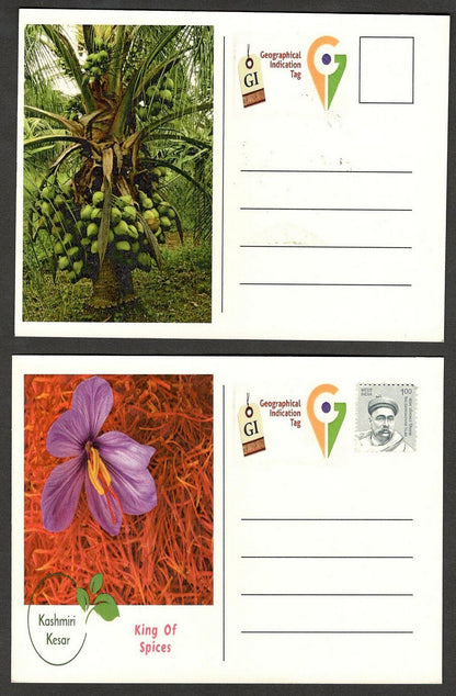 (AOP) India 2023 Indian Fruits sets of 12 maxicards