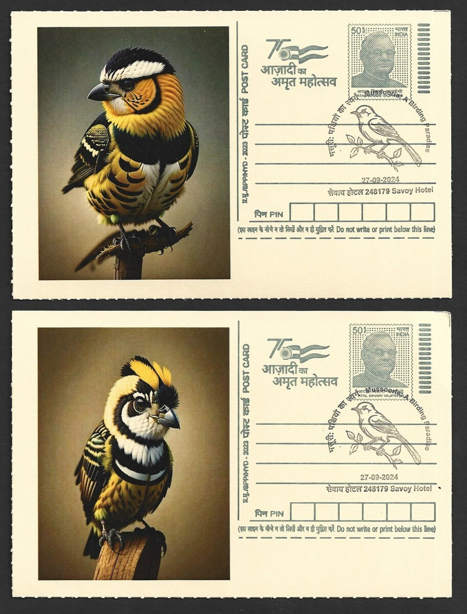 India 2024 Birding Paradise Savoy Hotel postmarks on cards STRIPED BIRD (9)