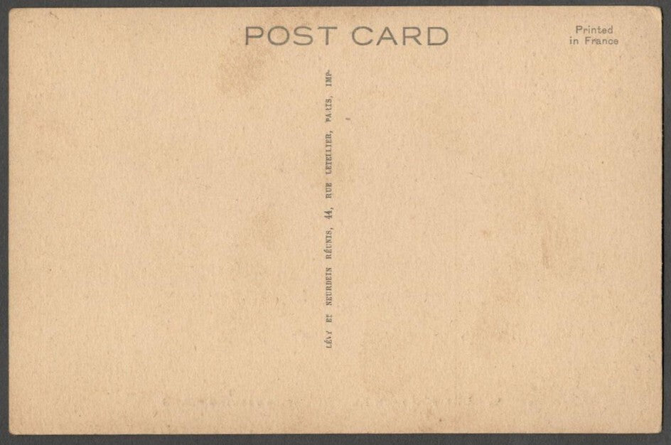 AOP India Udaipur from Khas Oodi (Pigs Feeding Place) vintage postcard