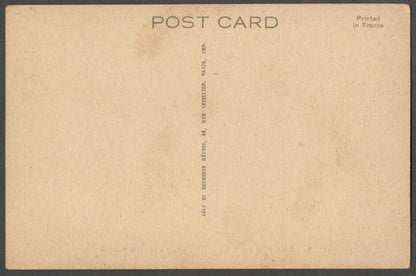 AOP India Udaipur from Khas Oodi (Pigs Feeding Place) vintage postcard