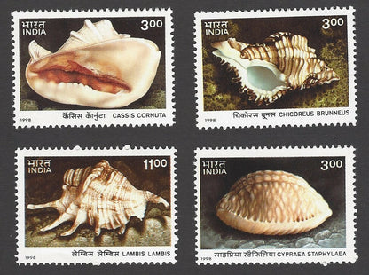 India 1998 Sea Shellls 4v MNH