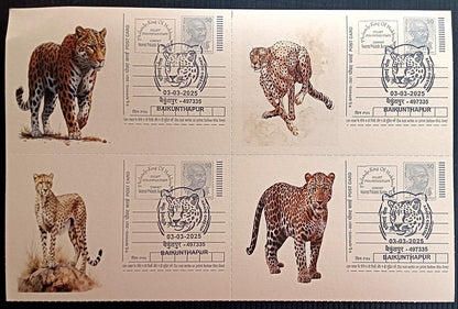 India Asiatic Cheetah group of 80 different special event postcards, Baikuntapur