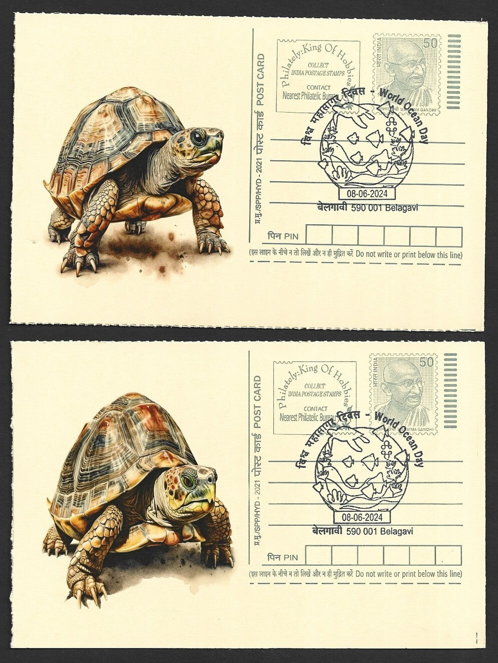India 2024 World Ocean Day cards TORTOISE (4)