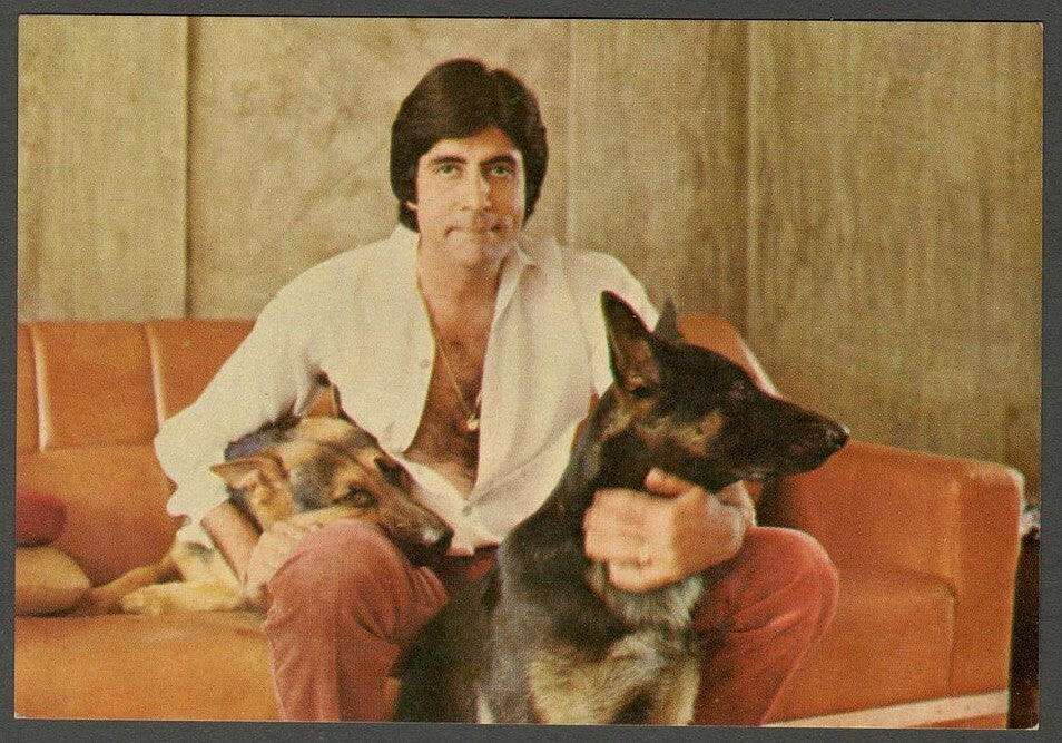 AOP India Bollywood vintage postcard AMITABH BACHCHAN ELAR 506