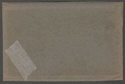 AOP India mounted pre-1900 colour litho card TABLE BOY