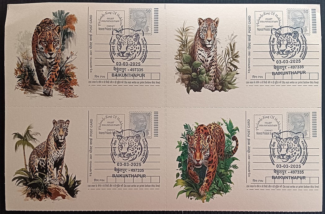India Asiatic Cheetah group of 80 different special event postcards, Baikuntapur