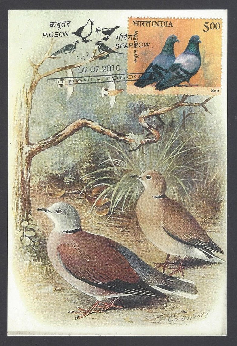 AOP India 2008 Pigeon The Burmese Red Turtle - Dove Maxi card