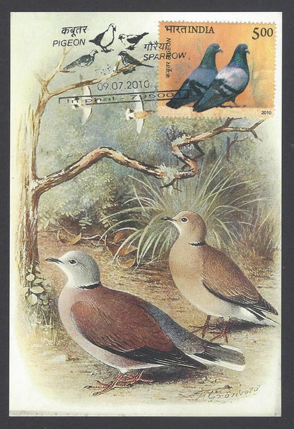 AOP India 2008 Pigeon The Burmese Red Turtle - Dove Maxi card