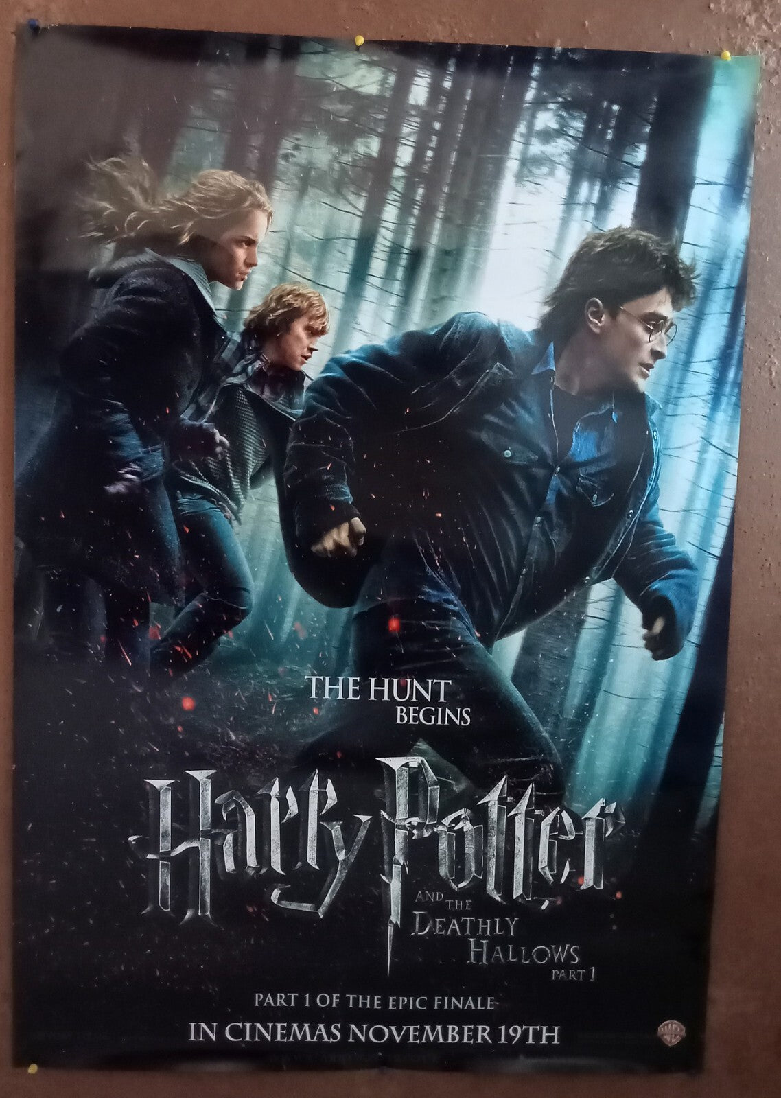 2010 Harry Potter and the Deathly Hallows: Part 1 - 1 sheet India poster