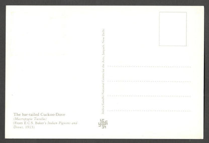AOP India 2010 Pigeon maxi card