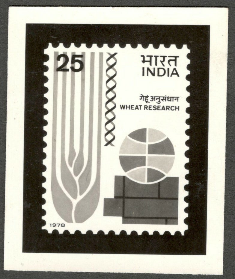 AOP India 1977 Wheat Symposium photographic proof 