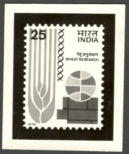 AOP India 1977 Wheat Symposium photographic proof 