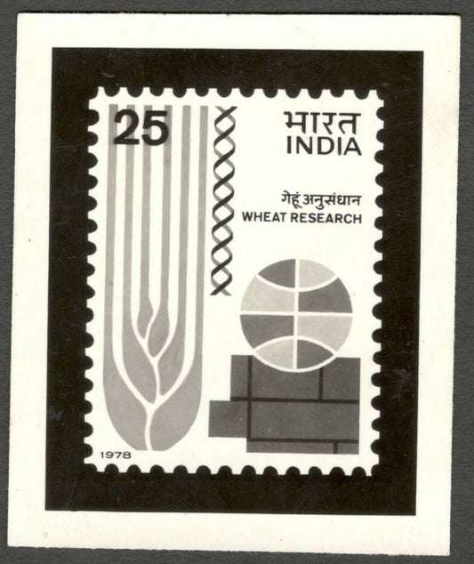 AOP India 1977 Wheat Symposium photographic proof 