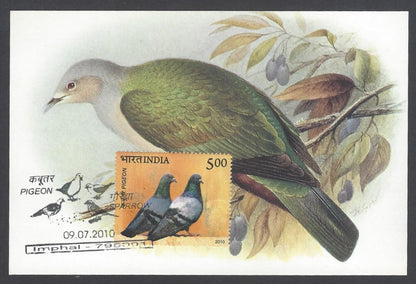 India 2008 Pigeon. The Green Imperial Pigeon Maxi card