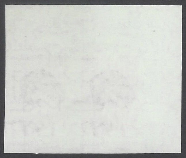 AOP India 2002 10Rs C.V Raman imperf pair