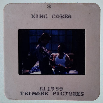 KING COBRA publicity material for India (15 slides, 9 photos, 2 negatives)