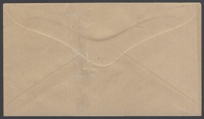 AOP India Rajasthan State 1/2a chestnut envelope unused. HG #B1