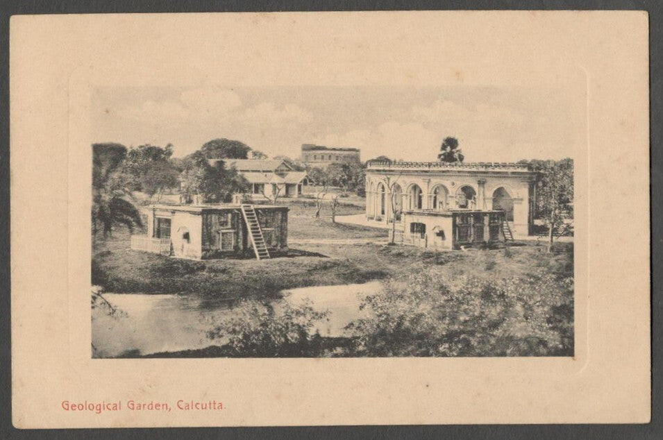 AOP India Geological Garden, Calcutta vintage postcard