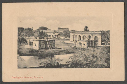 AOP India Geological Garden, Calcutta vintage postcard