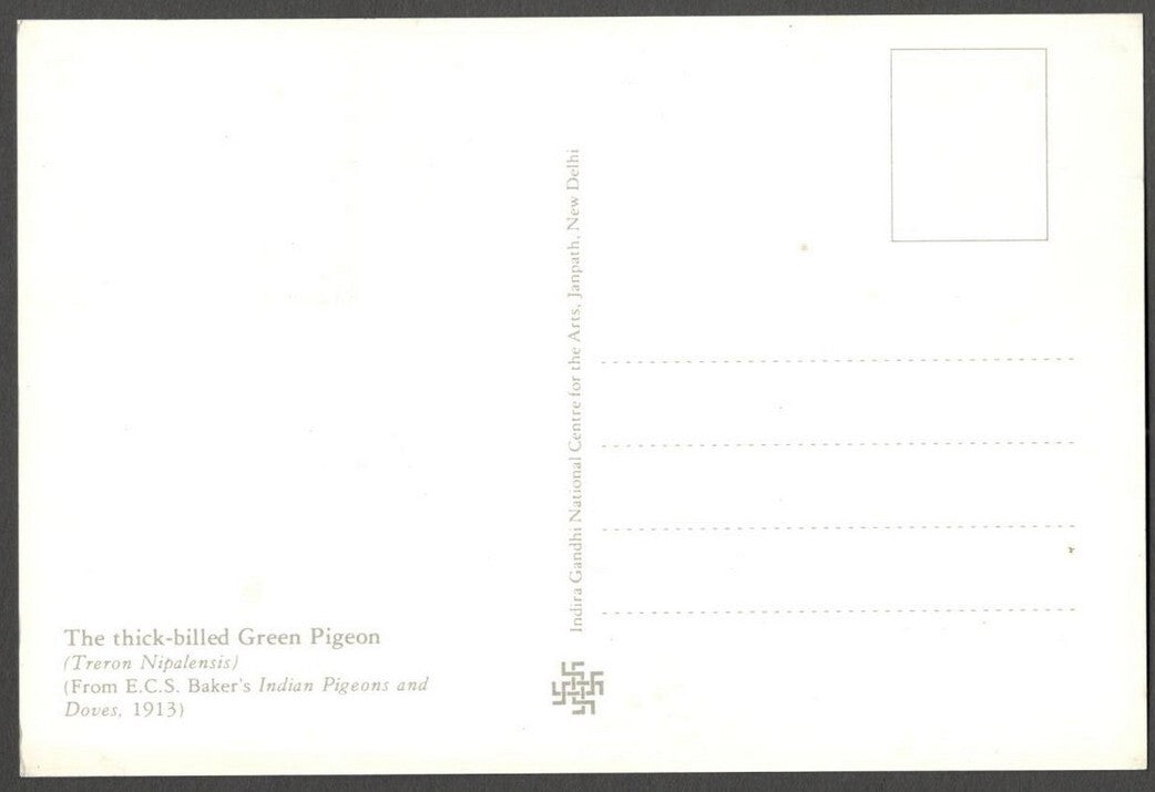 AOP India 2010 Pigeon maxi card