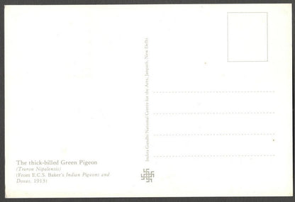 AOP India 2010 Pigeon maxi card