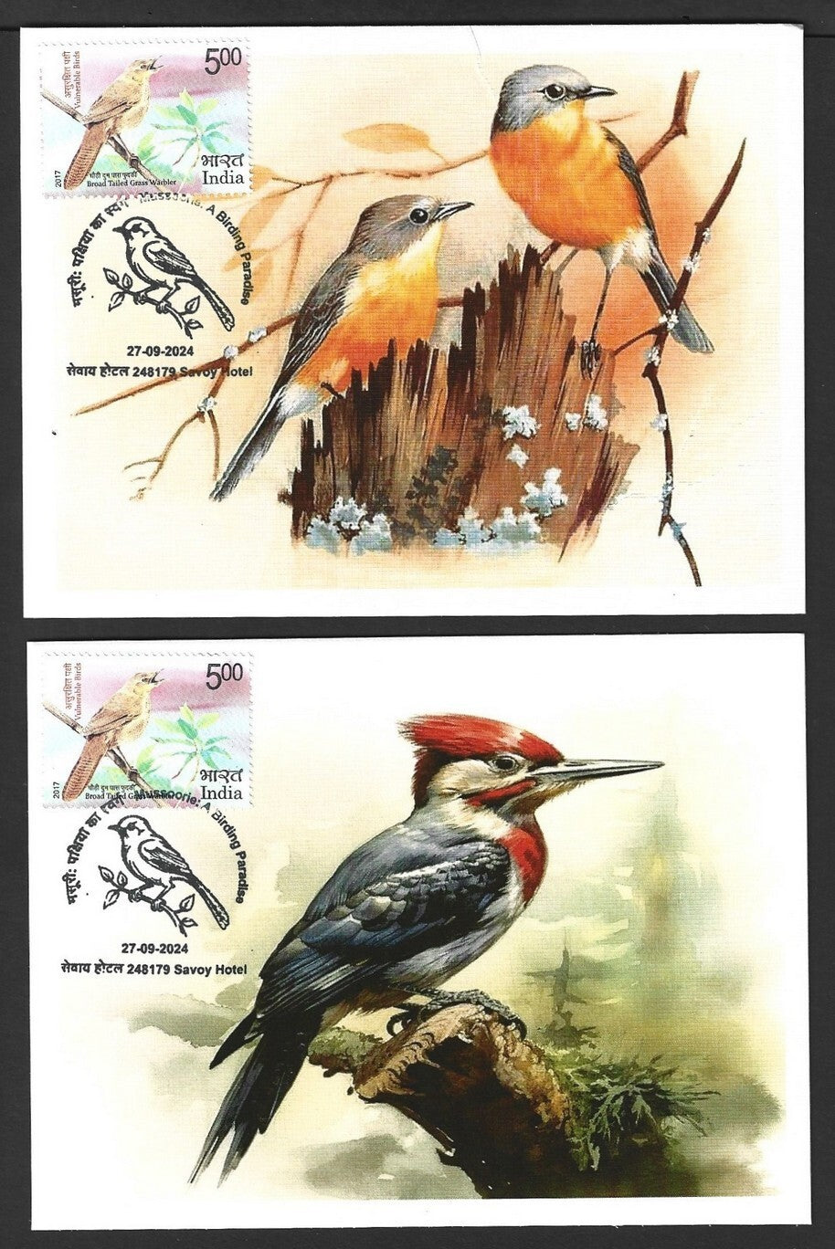 India 2024 BIRDS - WOODPECKERS maximum cards (not first day) (8)