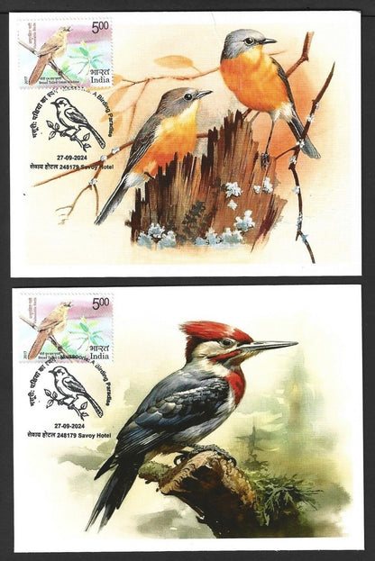 India 2024 BIRDS - WOODPECKERS maximum cards (not first day) (8)
