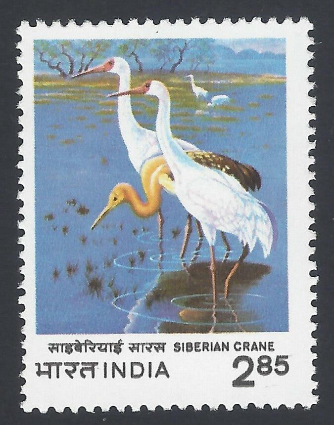 India 1983 International Crane Workshop MNH