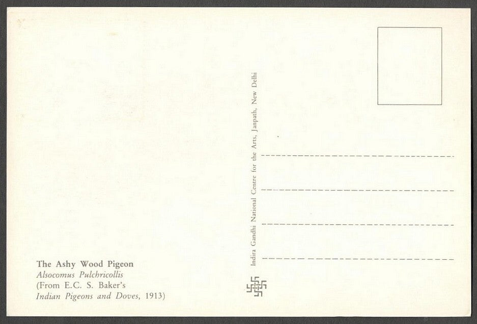 AOP India 2010 Pigeon maxi card