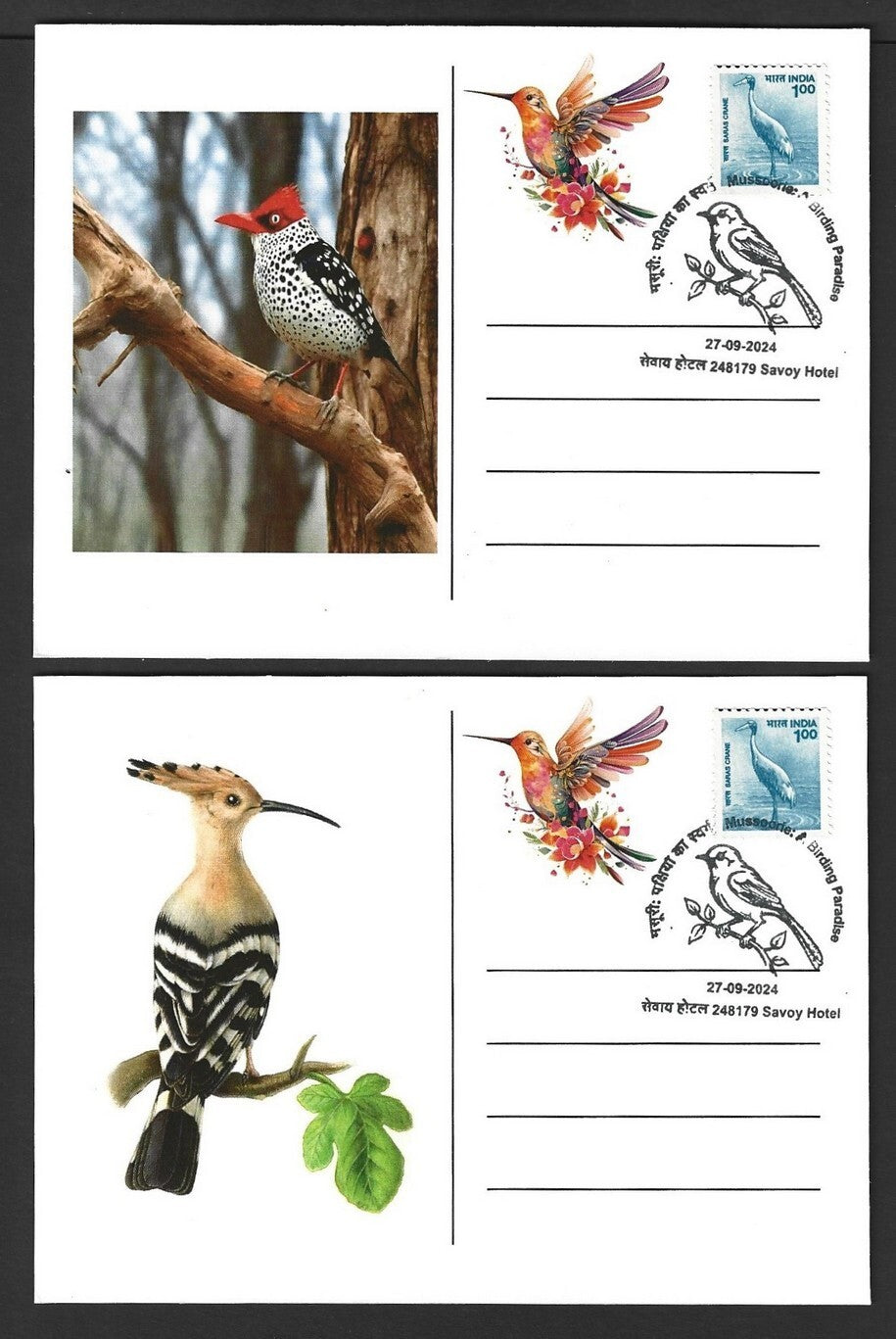 India 2024 BIRDS - WOODPECKERS maximum cards (not first day) (8)