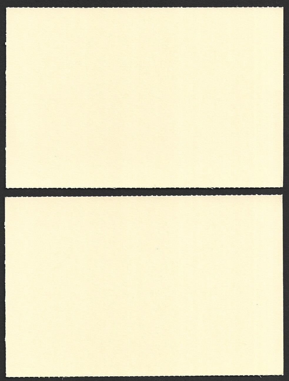 India 2024 World Ocean Day cards TORTOISE (11)